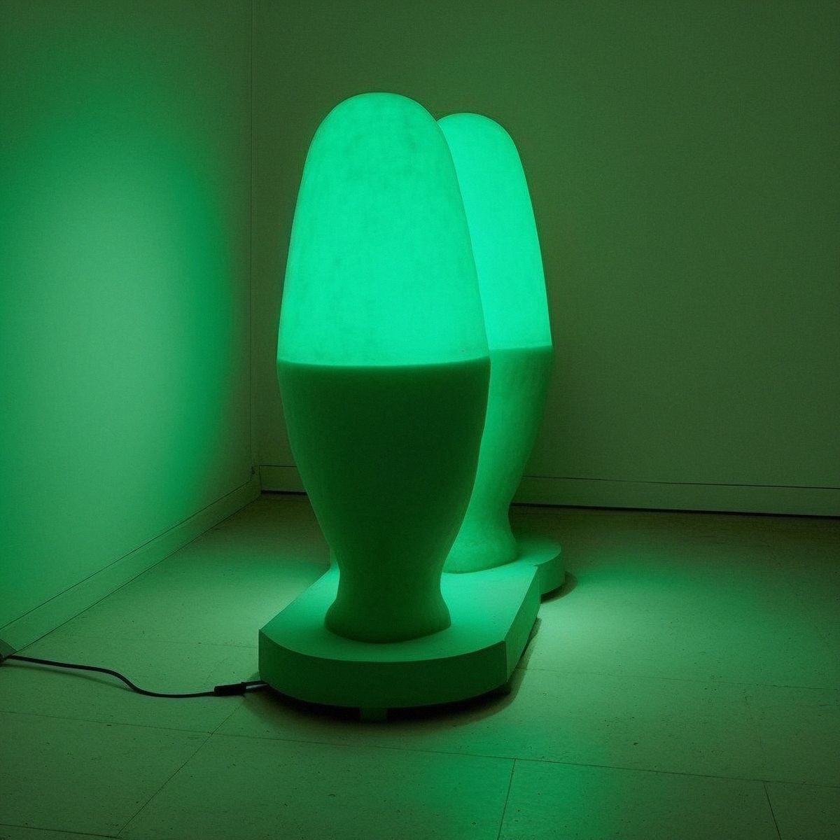 Two legs abandoned at a Anish Kapoors dull solo show at n